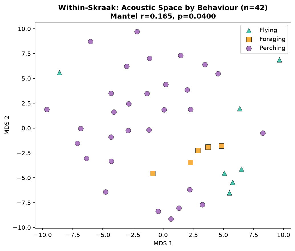 MDS plot of skraak-only acoustic space, coloured by behaviour